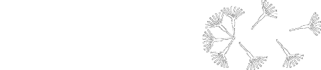 Centre Souffle de vies